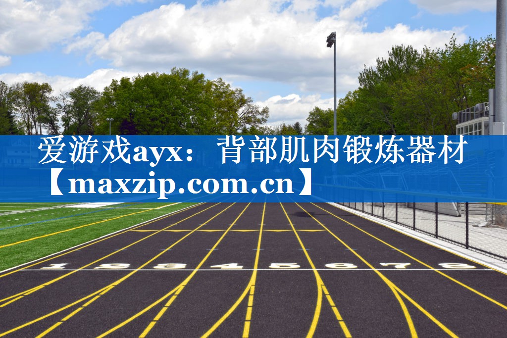 爱游戏ayx：背部肌肉锻炼器材