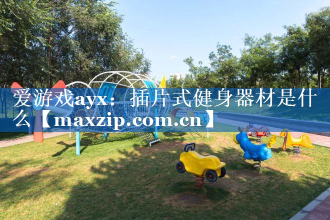 爱游戏ayx：插片式健身器材是什么