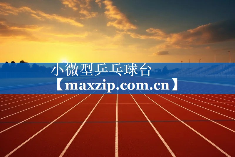 小微型乒乓球台