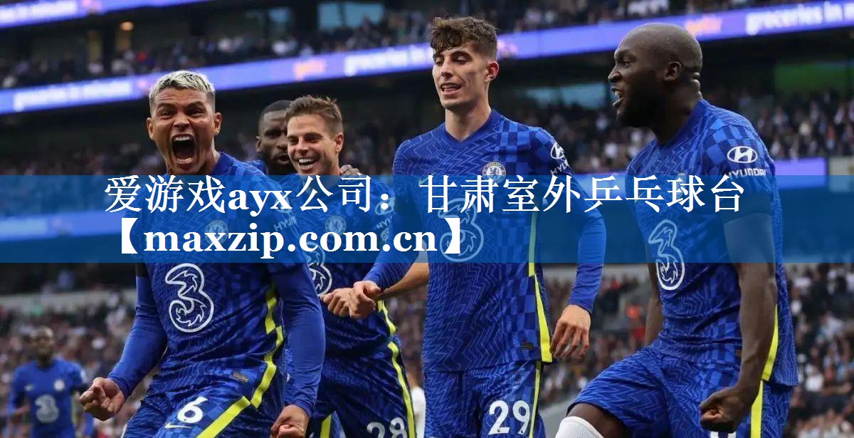 爱游戏ayx公司：甘肃室外乒乓球台