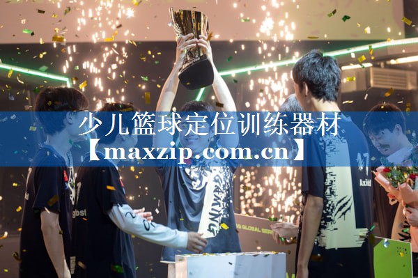 少儿篮球定位训练器材