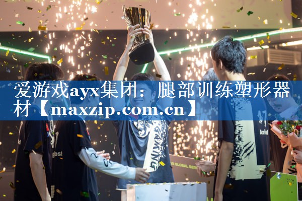 爱游戏ayx集团：腿部训练塑形器材