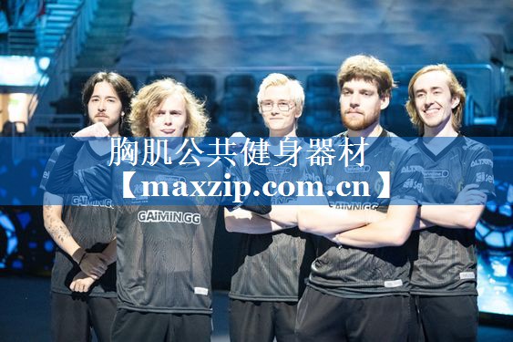 胸肌公共健身器材