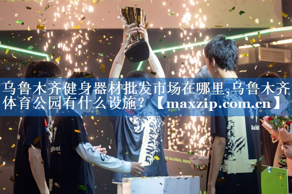 乌鲁木齐健身器材批发市场在哪里,乌鲁木齐体育公园有什么设施？