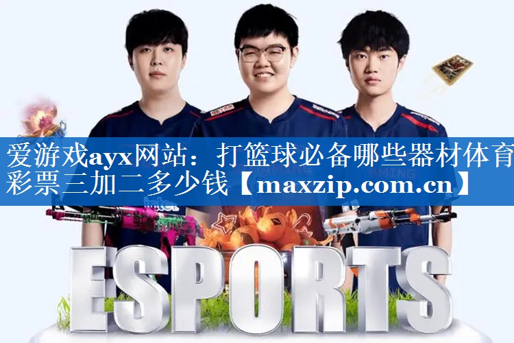 爱游戏ayx网站：打篮球必备哪些器材体育彩票三加二多少钱