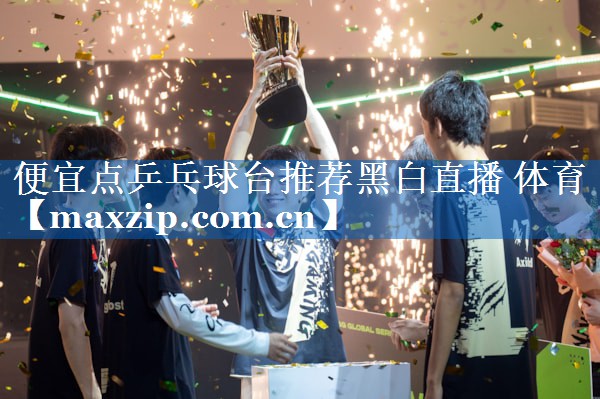 便宜点乒乓球台推荐黑白直播 体育