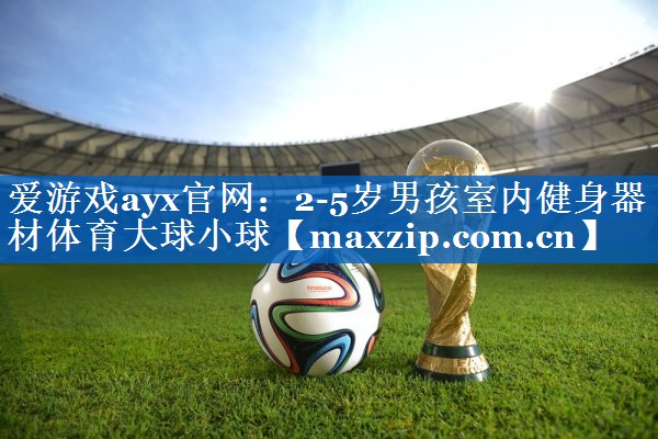 爱游戏ayx官网：2-5岁男孩室内健身器材体育大球小球