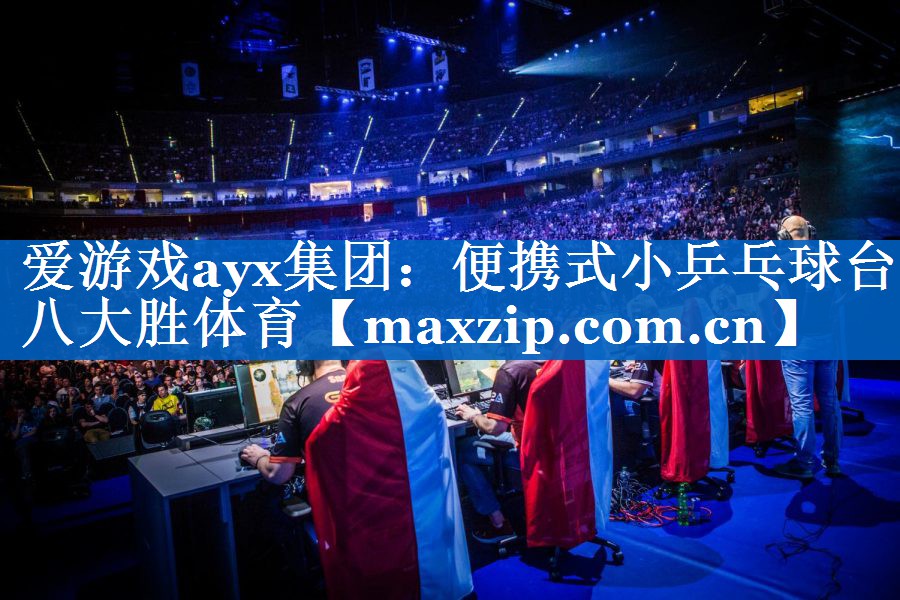 爱游戏ayx集团：便携式小乒乓球台八大胜体育