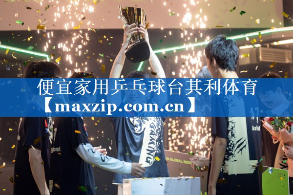 便宜家用乒乓球台其利体育