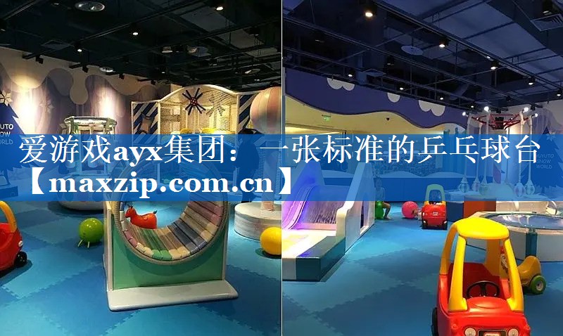 爱游戏ayx集团：一张标准的乒乓球台