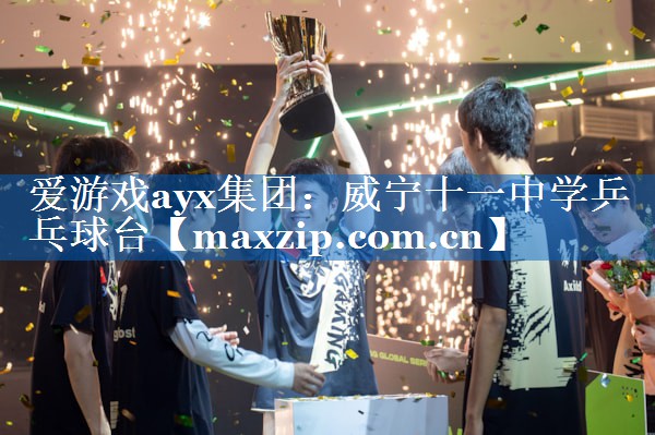 爱游戏ayx集团：威宁十一中学乒乓球台