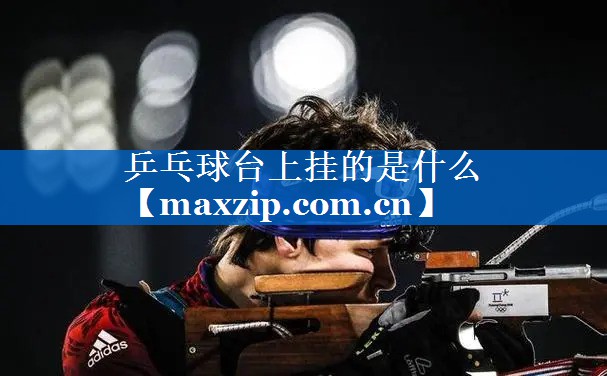 乒乓球台上挂的是什么