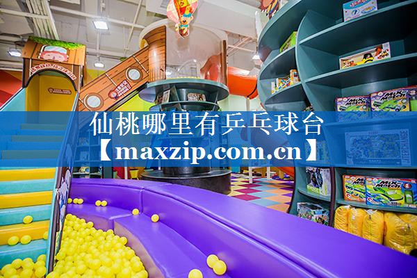 仙桃哪里有乒乓球台