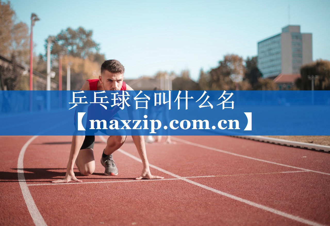 乒乓球台叫什么名