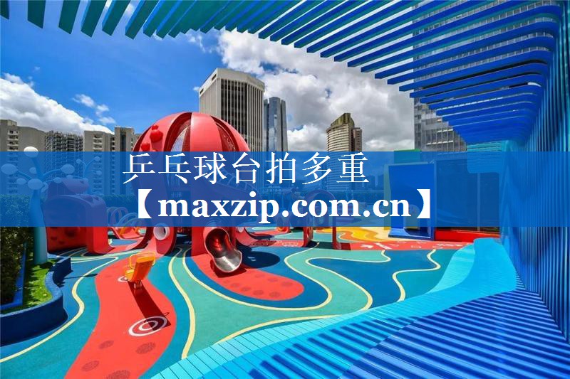乒乓球台拍多重