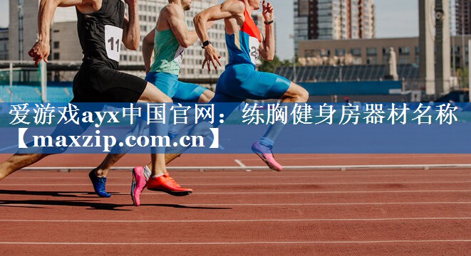 爱游戏ayx中国官网：练胸健身房器材名称