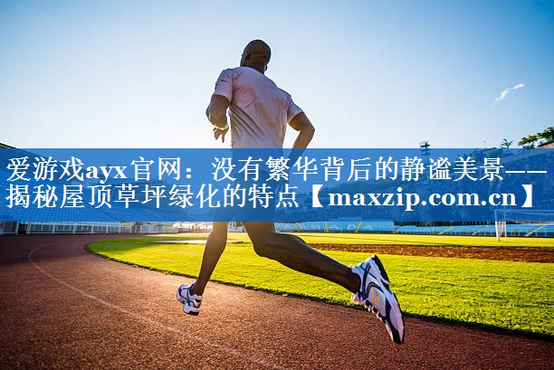 爱游戏ayx官网：没有繁华背后的静谧美景——揭秘屋顶草坪绿化的特点