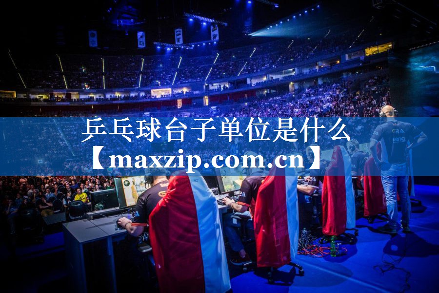 乒乓球台子单位是什么