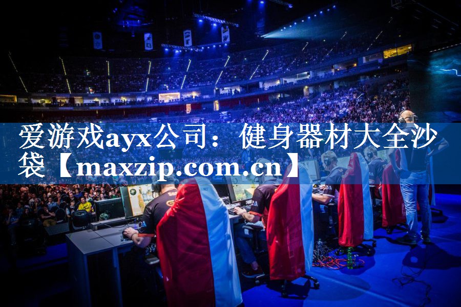 爱游戏ayx公司：健身器材大全沙袋