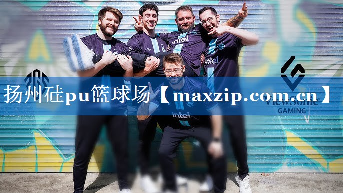 扬州硅pu篮球场 扬州硅pu篮球场