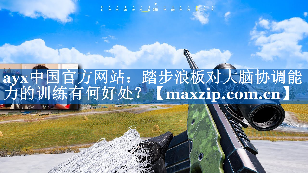 踏步浪板对大脑协调能力的训练有何好处? 踏步浪板对大脑协调能力的训练有何好处?