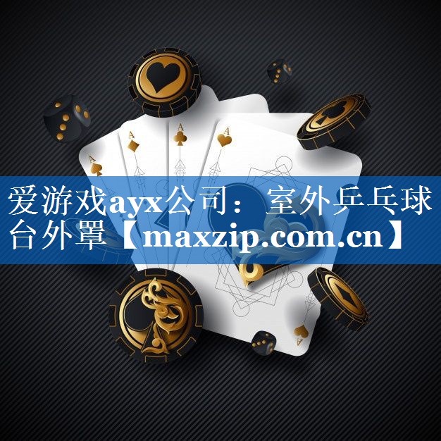 室外乒乓球台外罩 室外乒乓球台外罩