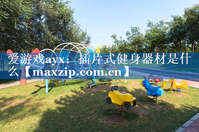 插片式健身器材是什么 插片式健身器材是什么
