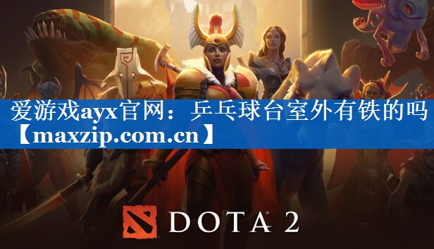 乒乓球台室外有铁的吗 乒乓球台室外有铁的吗