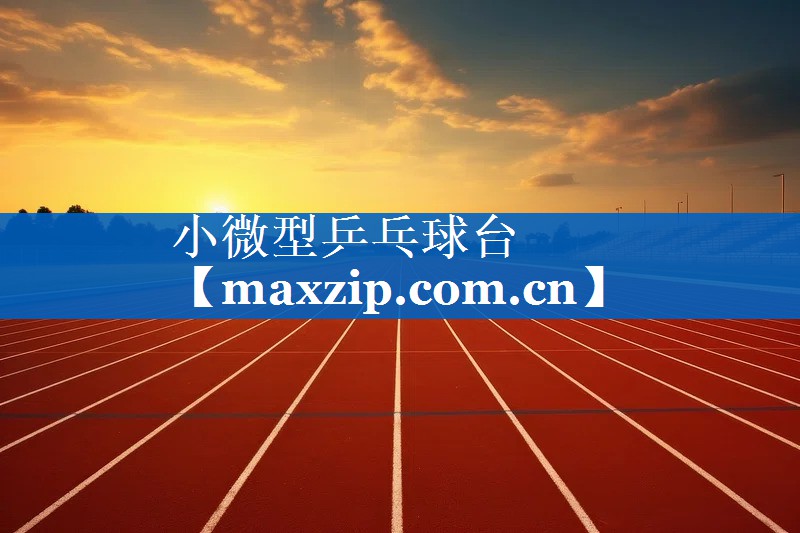 小微型乒乓球台 小微型乒乓球台