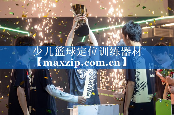 少儿篮球定位训练器材 少儿篮球定位训练器材