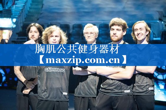 胸肌公共健身器材 胸肌公共健身器材