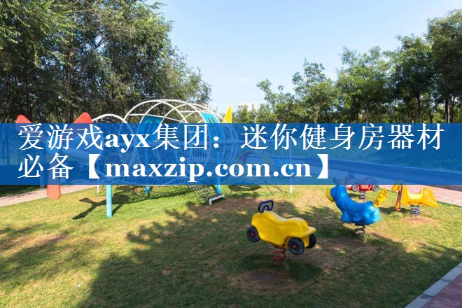 迷你健身房器材必备 迷你健身房器材必备