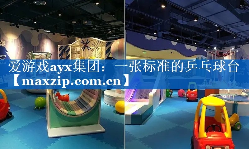 一张标准的乒乓球台 一张标准的乒乓球台