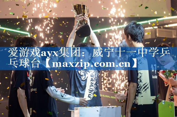 威宁十一中学乒乓球台 威宁十一中学乒乓球台