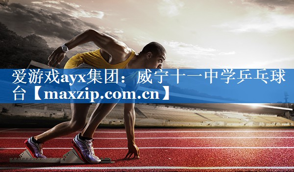威宁十一中学乒乓球台 威宁十一中学乒乓球台