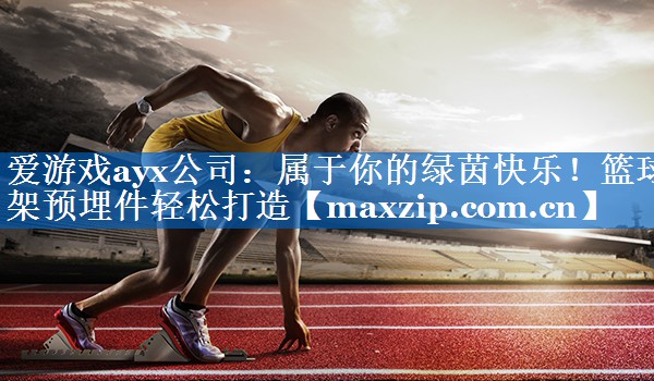 属于你的绿茵快乐!篮球架预埋件轻松打造 属于你的绿茵快乐!篮球架预埋件轻松打造