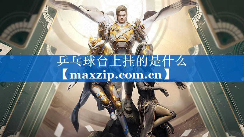 乒乓球台上挂的是什么 乒乓球台上挂的是什么