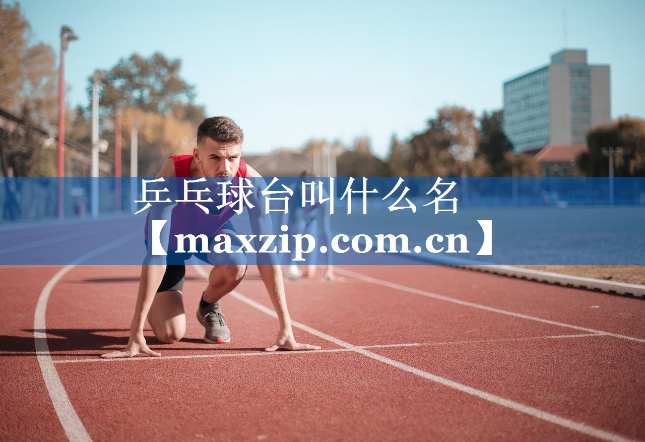 乒乓球台叫什么名