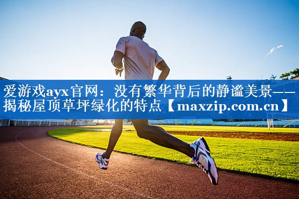 没有繁华背后的静谧美景——揭秘屋顶草坪绿化的特点 没有繁华背后的静谧美景——揭秘屋顶草坪绿化的特点